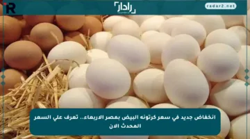 انخفاض جديد في سعر كرتونة البيض بمصر الأربعاء.. تعرف على السعر المحدث الآن